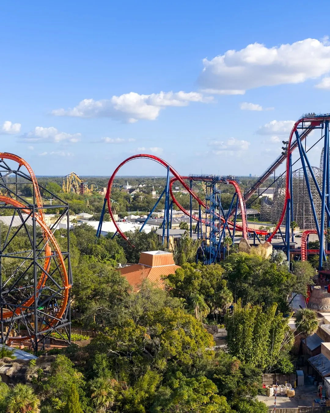 Busch Gardens, Tampa